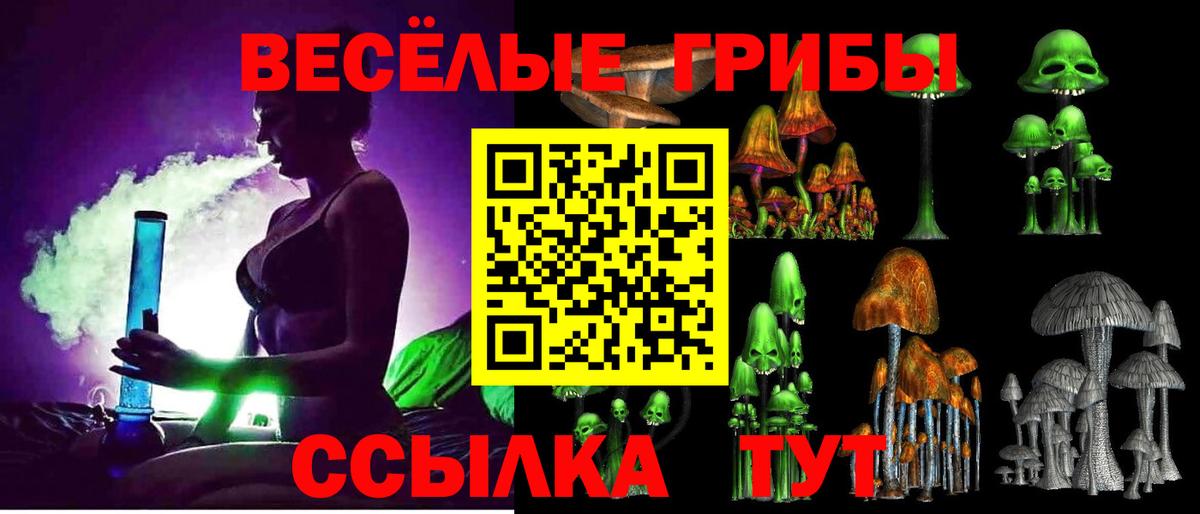 Волоколамск  Галлюциногенные грибы Magic Shrooms  Вход с VPN 